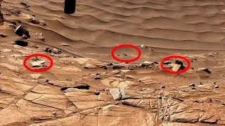 Mars Panorama 2022 | NASA Marte Rover Space Documentary LIVE