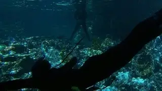 Aqua-investment: Inside Baltimore's $13 million shark exhibit