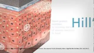 Hill's&trade; Prescription Diet&trade; d/d&trade; and Prescription Diet&trade; z/d&trade;