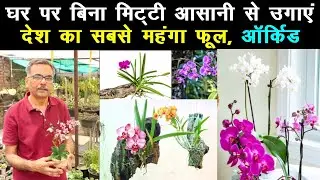 घर में ऑर्किड उगाना सबसे आसान 😍 नहीं पड़ेगी मिट्‌टी की जरूरत, एक्सपर्ट से सीखें || Unique Farming