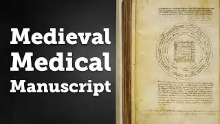 Fellow Favorites: Medieval Medical Manuscript