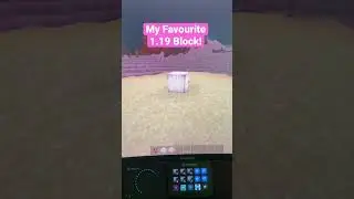 My Favourite Block In Minecraft 1.19!