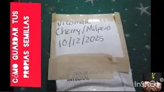C&oacute;mo guardar tus propias semillas en casa (f&aacute;cil y sin gastar)