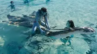 Ilu | Avatar: The Way of Water (2022)