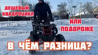 В чем разница между дешёвым и дорогим китайским квадроциклом? Сравниваем Tiger и Kayo Bull 200