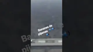 Camisa 33 - Bananas de pijamas