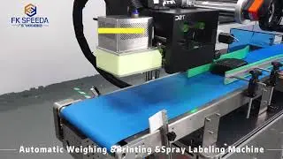 Automatic Weighing &Printing &Spray Labeling Machine