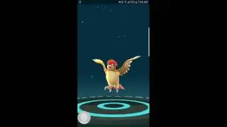 Pokemon Go Double Experience