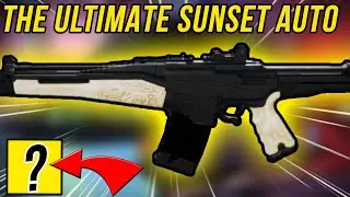 THE BEST SUNSET AUTO RIFLE OF ALL TIME! (Drifters Banned Auto Rifle)