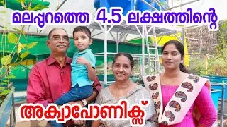 മലപ്പുറത്തെ ജോസ് ചേട്ടന്റെ അക്വാപോണിക്സ് [ECO OWN MEDIA] Rafa's farm house Malappuram