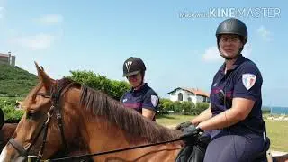 ASVP, brigade &eacute;questre Biarritz. Juillet 2020