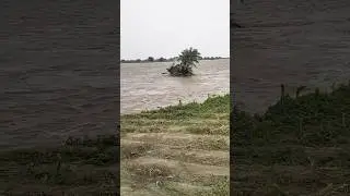 daryae satluj
