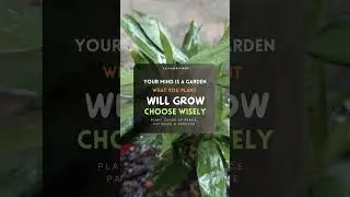 🌱 Mom Mindset Reset | Peaceful Parenting | Daily Growth Tips