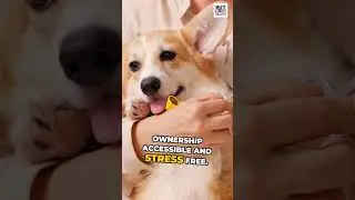 📢📢 T-Rex Pet Shop is a ✔Verified Woke-Free Brand✔