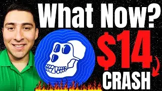 APECOIN CRASHED! APE Holders DO THIS Until Altcoin Season