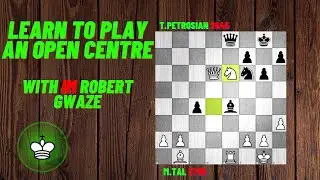 Positional Judgement: Open Centre 7/13: CHESS MASTERY