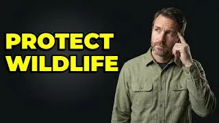 Why Should I Follow Wildlife Regulations In Parks?