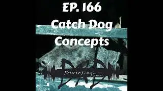 EP. 165 Catch Dog Concepts