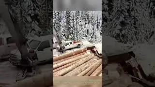 Riding the Rails: When an Excavator Becomes the Cargo