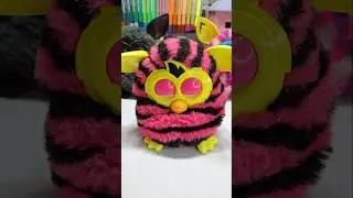 Furby satisfying #furby2012 #furbacca #furb