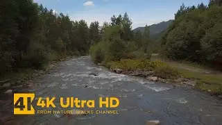 Early September on a Small Mountain River