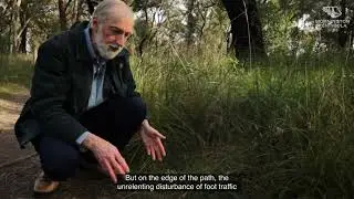 Environmental Weed Management - Part 1 - Ecological Insights