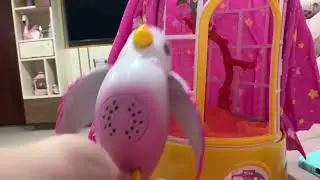 Meet my pet  I&rsquo;m not allowed to get a real one so got this ! Polly the magic bird ! 
