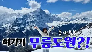 [🇨🇭그린델발트 여행 vlog] 여기가 바로 지구의 무릉도원? 우당탕탕 신혼여행 - 스위스 그린델발트편 1(취리히공항,그린델발트,스위스기차,썬스타호텔,피르스트,곤돌라,COOP)