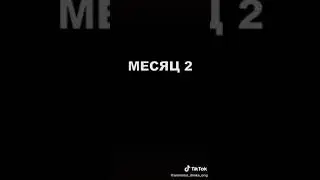 я в жевоте