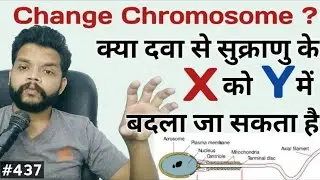 Can We Change Chromosome X In To Y By Medicine In Hindi | Gyanear