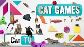 КОТ-игры | Лучшая подборка Cat TV, том 48 | 2 ЧАСА 🐝🐞🦋🦎🦜🐜🐭🧵
