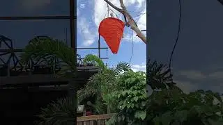 Candle park