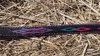 Montana Creations Hand-Hitched Horsehair Belt  302 full length