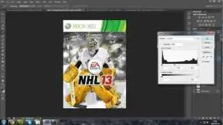 NHL 13 Custom Cover | Marc-Andr&eacute; Fleury