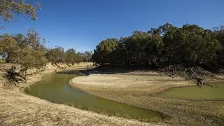 SPC Chair pleads for Murray-Darling Basin plan to be &lsquo;driven by science, not by politics&rsquo;