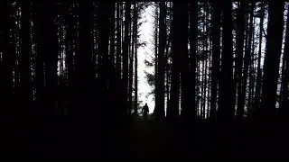 The Ginger Technique - Techno