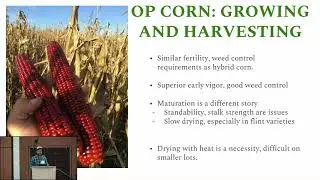 John Wepking OGRAIN 2020- Organic small grains: Rye, winter wheat, spelt, open pollinated corn
