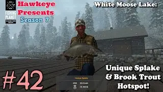 Fishing Planet #42 - S7 | White Moose Lake - UNIQUE Splake & Brook Trout Hotspot!