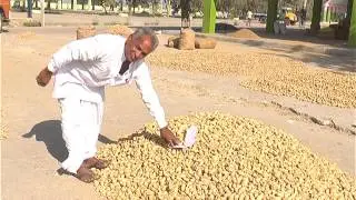 Nizamabad - TS (e-Nam) Market Yard Activities in Telugu