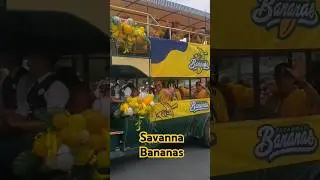 The Savannah Bananas Calvacade at Disneyland May 28, 2025 #Savannah #Bananas #disneyland #disney