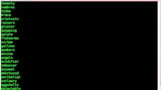 Shuffle a File and get a Random line - BASH