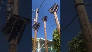High ropes challenge