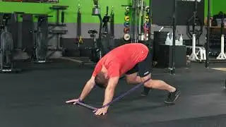 Banded Quadruped Knee Extension