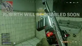Rebirth Vlk Rogue Action