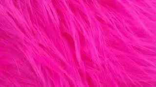 LE CLOSET