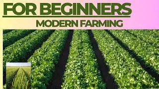 How Australian Farmers Make Billions from Agriculture &ndash; Modern Farming at Massive