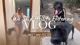Meet My Foster Dog Manila 🐾 | First Day Home, Austin Pets Alive Fostering Journey