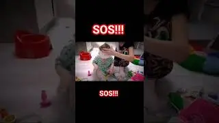 Хьюстон, у нас проблемы🤕#боец #sos #funny #shorts #war #приколы #top #чиж