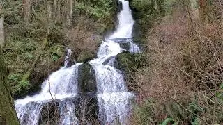 Steelhead Falls, Mission BC - March 06, 2021