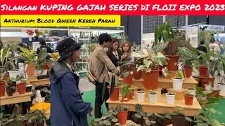 ANTHURIUM BLOOD QWEEN KEREN BANGETT DI FLOII EXPO 2023 📢 APEX FARMHOUSE X SIAPNANAM X TONOCUWARTONO